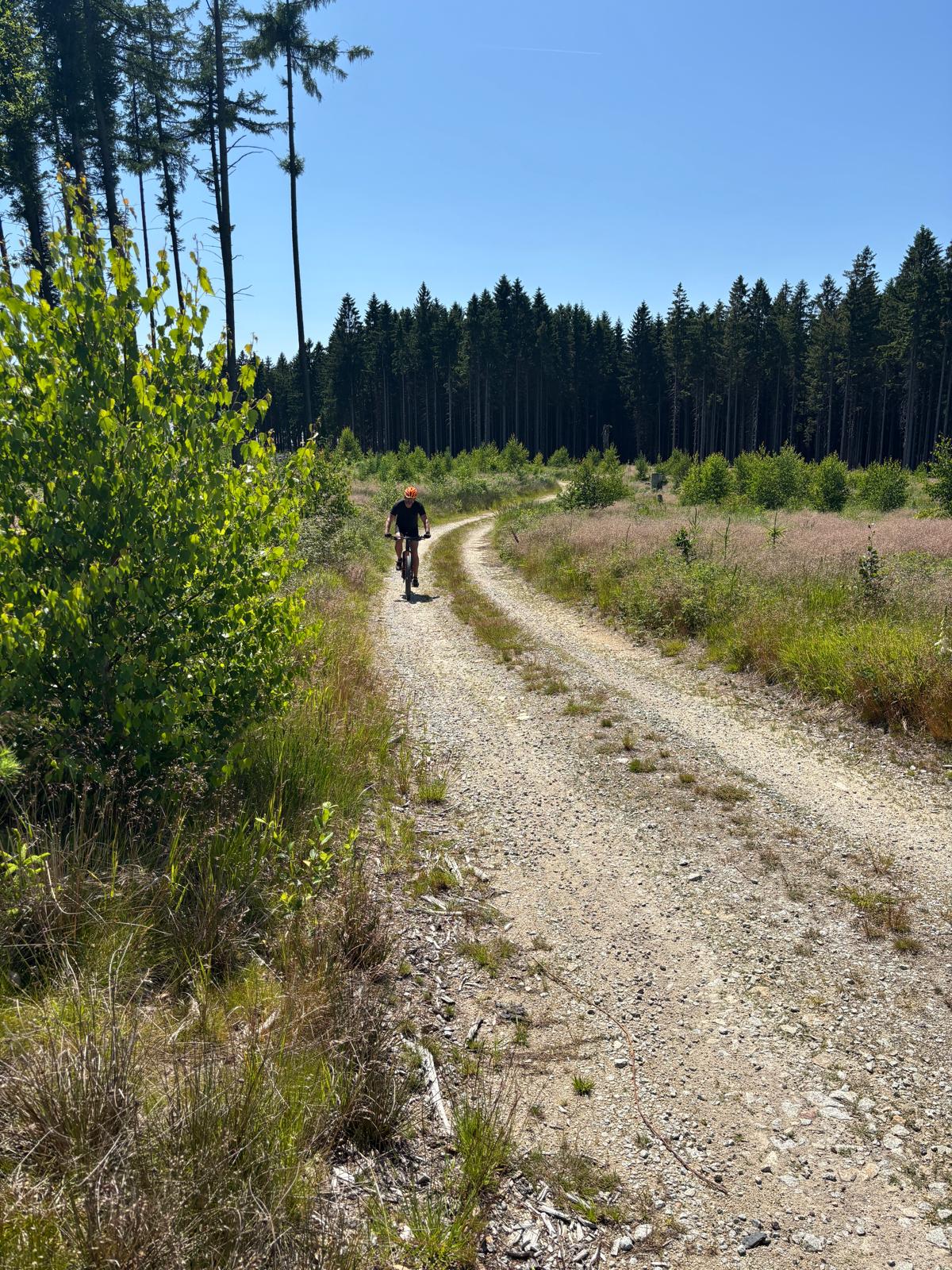 IMG-20250715-WA0076