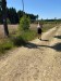IMG-20250715-WA0041
