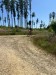 IMG-20250715-WA0046