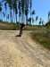 IMG-20250715-WA0047