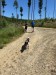 IMG-20250715-WA0071